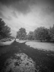 straight road and detour in the park - infrared