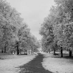 infrared parks