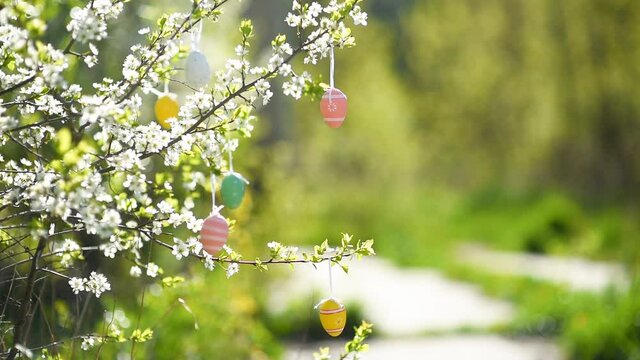Multicolored easter eggs hanging on a branch of a blossoming apple tree during traditional egg hunt. Party for children in spring park on Easter day.