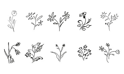 10 hand-drawn blossom wildflowers. Big collection of 10 hand-drawn roses. Big floral botanical set. Isolated on white background. Doodle simple vector collection. - 409333368