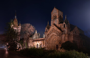 Night view of Vajdahunyad castle in Budapest (Hungary)