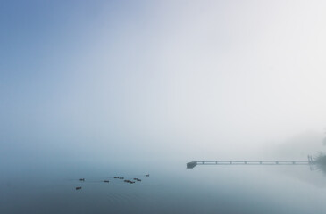 ponton sur un lac dans la brume du matin