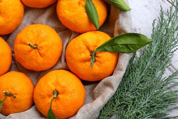Fototapeta na wymiar oranges 