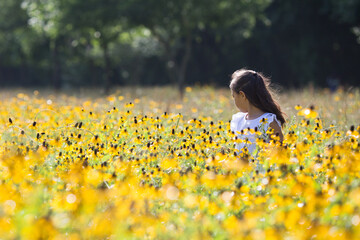 Girl gathering flowers in sunflower field. Spring in Houston, Texas, USA