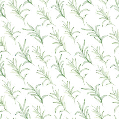 Watercolor seamless pattern of eucalyptus branches. Hand-drawn botanical illustration. Green natural leaves background.