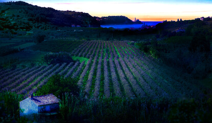 Piran Hinterland Just Before Complete Darknes