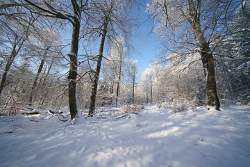 Winter in Deutschland