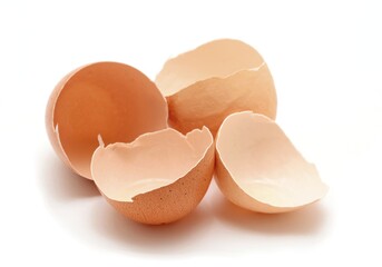 Cracked egg shells