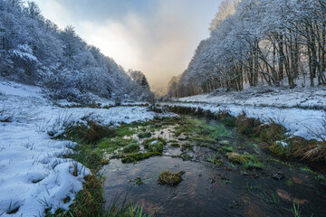 Bach im Schnee
