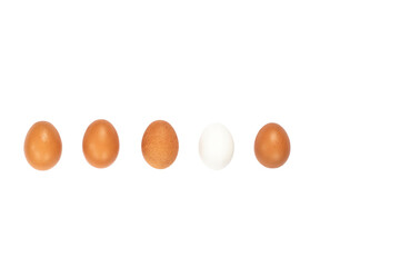 Five white and brown chicken eggs in a row isolated against a white background.