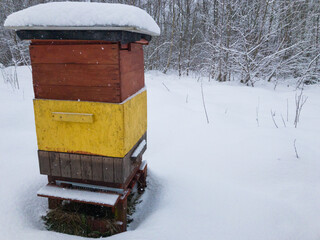 Naklejka premium wooden beehive box with snow. Off season. Brake 