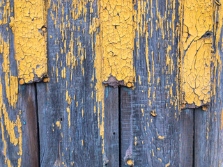 Old wooden door closeup. Aqua and yellow colour 
