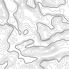  Abstract vector illustration. Topographic map background. Grid map. Contour map vector. 