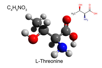 Chemical formula, structural formula and 3D ball-and-stick model of L-threonine, an essential amino acid, white background	