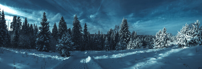 Snowy road at  winter Stone Hill park in frosty night. Winter country road with fir forest in the...