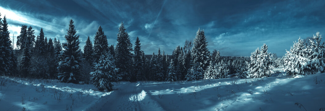 Snowy road at  winter Stone Hill park in frosty night. Winter country road with fir forest in the rays of cold winter Moon.