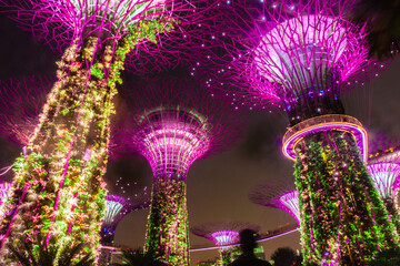 SINGAPORE, 3 OCTOBER 2019: The Supertrees of Gardens by the bay