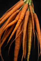 Raw Carrot Bunch Closeup on Black Background