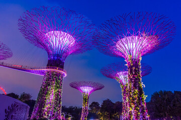 SINGAPORE, 3 OCTOBER 2019: The Supertrees of Gardens by the bay