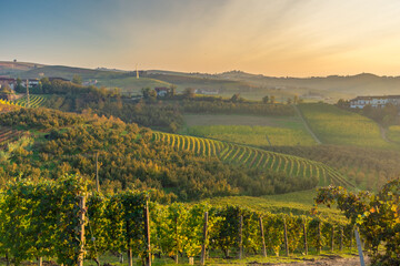 Fototapeta na wymiar Amazing autumnal landscape in the Langhe, famous vineyard area in Piedmont Italy