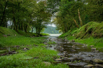 Lagoa Furnas, a&ccedil;ores
