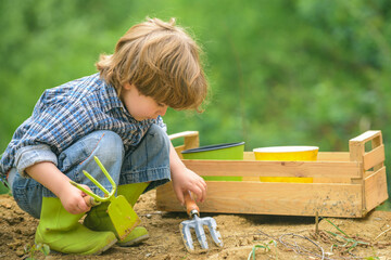 Child on the farm. Organic food growing.