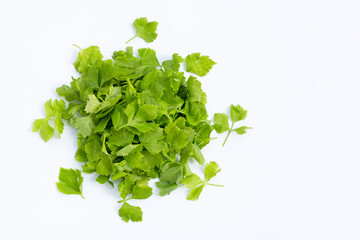Chinese celery leaves on white