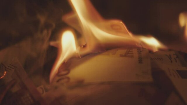 Money pappers burning in a fire. Financial crisis concept.