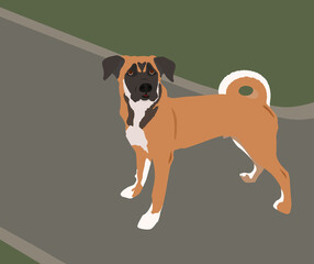 Flat illustration of a lovely dog on the walk