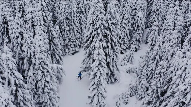Aerial shot of Professional athlethe cross country skier running on skis trough the frozen forest covered in snow