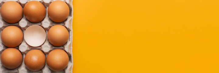 Banner with brown fresh chicken eggs and one broken eggshell in carton box. Closeup natural organic egg pattern. Healthy real food. Top view, flat lay
