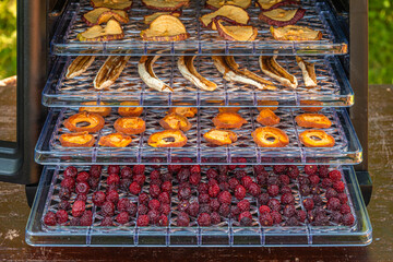 Dried fruit inside a home electric dehydrator