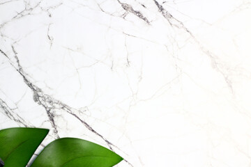 Background texture of a marble for text or graphic.