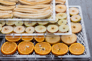 Sliced fruit to dry in a home electric dehydrator