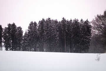 travel germany and bavaria, view at a snow covered forest above a snow covered field