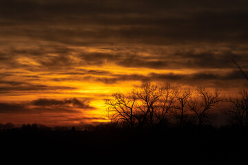 Fototapeta premium sunset over the field