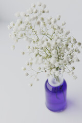 bouquet of white flowers in a bottle on a light background