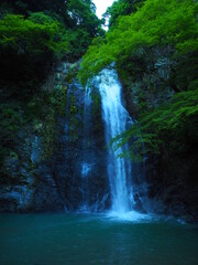Fototapeta na wymiar 【大阪】初夏に訪れる箕面の滝