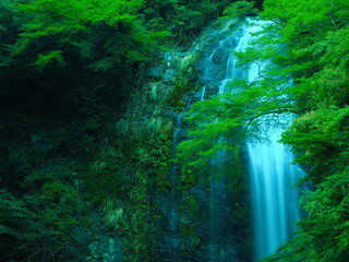 Obraz premium 【大阪】初夏に訪れる箕面の滝