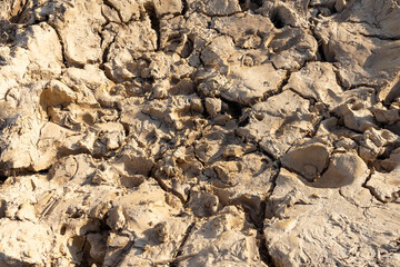 Texture of dry and dehydrated ground surface with cracks.