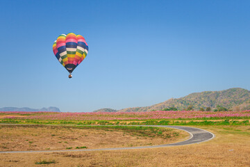 hot air balloon in flight