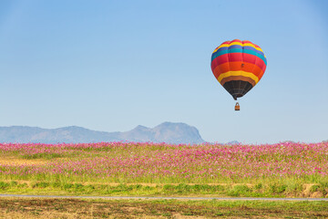 Fototapeta premium hot air balloon in flight