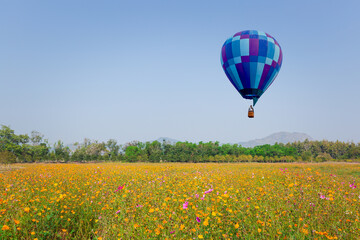 hot air balloon in the field