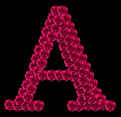 romantic concept image of a capital letter A made of red roses. Isolated on black background. Design element for love or valentines themes