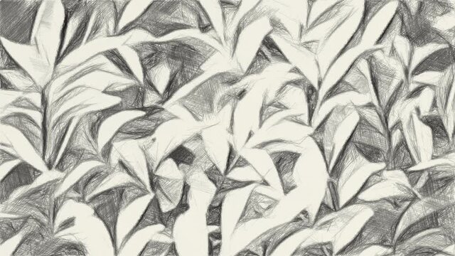 art drawing black and white of plant in nature garden