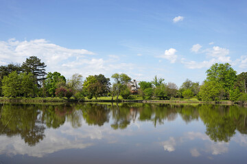 Obraz na płótnie Canvas pond