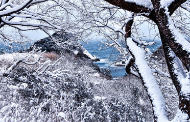 雪と海