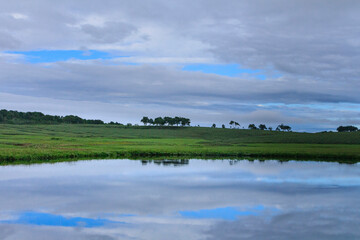 雨竜町　夏の雨竜沼湿原