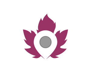 Grape leaves with pin location in the middle