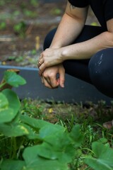 close up of a woman’s hands crossed outside in the garden golden hour - a woman squats in her garden, looking after the plants 